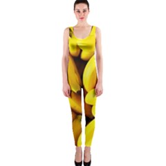 Banana One Piece Catsuit by nate14shop