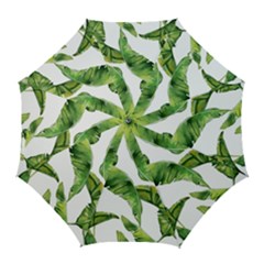 Sheets Tropical Plant Palm Summer Exotic Golf Umbrellas