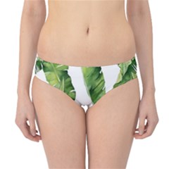 Sheets Tropical Plant Palm Summer Exotic Hipster Bikini Bottoms by artworkshop