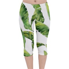 Sheets Tropical Plant Palm Summer Exotic Velvet Capri Leggings 