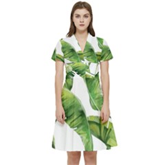 Sheets Tropical Plant Palm Summer Exotic Short Sleeve Waist Detail Dress