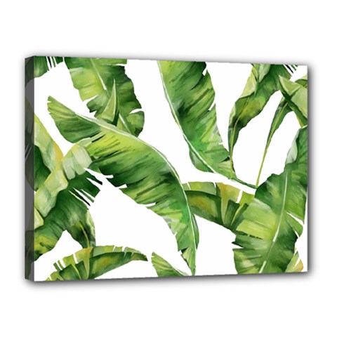 Sheets Tropical Plant Palm Summer Exotic Canvas 16  X 12  (stretched) by artworkshop