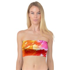 Colorful Painting Bandeau Top by artworkshop