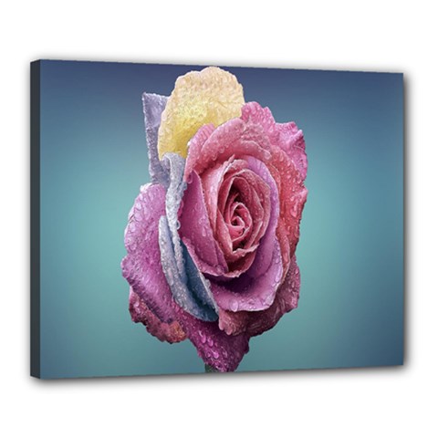 Rose Flower Love Romance Beautiful Canvas 20  X 16  (stretched) by artworkshop