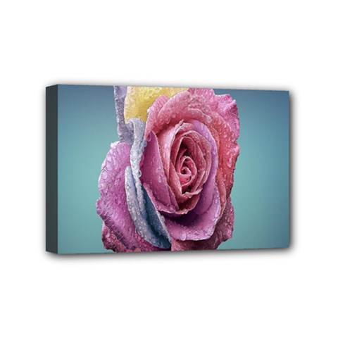 Rose Flower Love Romance Beautiful Mini Canvas 6  X 4  (stretched) by artworkshop