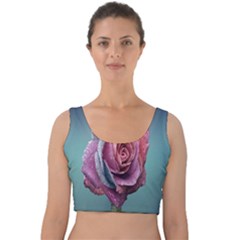 Rose Flower Love Romance Beautiful Velvet Crop Top by artworkshop