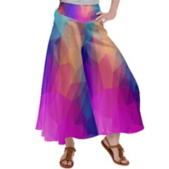 Triangles Polygon Color Satin Palazzo Pants by artworkshop