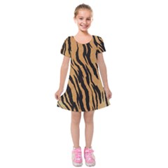 Tiger Animal Print A Completely Seamless Tile Able Background Design Pattern Kids  Short Sleeve Velvet Dress by Amaryn4rt