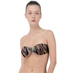 Tiger Animal Print A Completely Seamless Tile Able Background Design Pattern Classic Bandeau Bikini Top  by Amaryn4rt