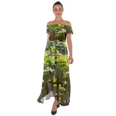 Bitter Melon Off Shoulder Open Front Chiffon Dress by artworkshop