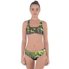 Bitter Melon Criss Cross Bikini Set by artworkshop