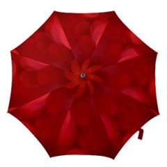 Hd-wallpaper 3 Hook Handle Umbrellas (large)