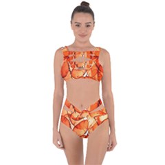 Orange Bandaged Up Bikini Set  by nate14shop