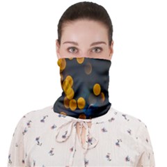 Desktop Face Covering Bandana (adult)