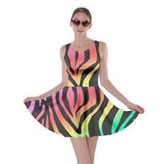 Rainbow Zebra Stripes Skater Dress