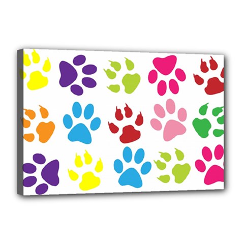 Paw Print Canvas 18  X 12  (stretched)