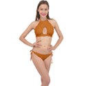 Orange Cross Front Halter Bikini Set View1