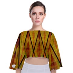 Rhomboid 002 Tie Back Butterfly Sleeve Chiffon Top by nate14shop