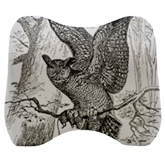 Owl-animals-wild-jungle-nature Velour Head Support Cushion