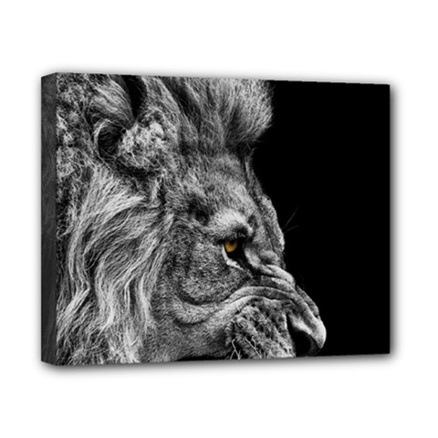 Angry Male Lion Canvas 10  X 8  (stretched) by Jancukart