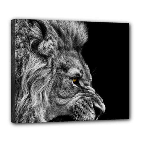 Angry Male Lion Deluxe Canvas 24  X 20  (stretched) by Jancukart