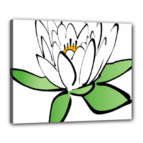 Lotus-flower-water-lily Canvas 20  X 16  (stretched)