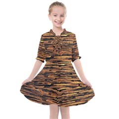 Cobblestones Kids  All Frills Chiffon Dress