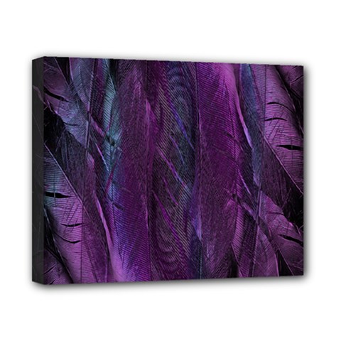 Feather Canvas 10  X 8  (stretched) by artworkshop