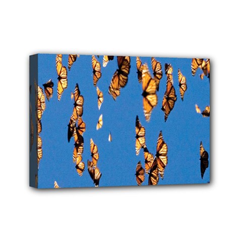 Eastern Monarch Butterfly Mini Canvas 7  X 5  (stretched) by nate14shop