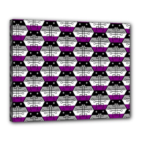 Hackers Town Void Mantis Hexagon Asexual Ace Pride Flag Canvas 20  X 16  (stretched) by WetdryvacsLair