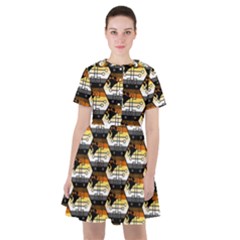 Hackers Town Void Mantis Hexagon Bear Pride Flag Sailor Dress by WetdryvacsLair