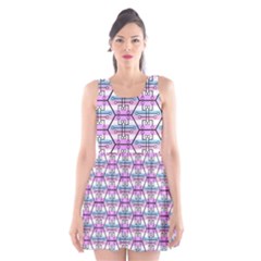 Hackers Town Void Mantis Hexagon Bigender Pride Flag Scoop Neck Skater Dress