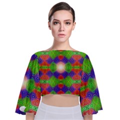 Helix Heaven Tie Back Butterfly Sleeve Chiffon Top