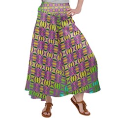 Unidentified  Flying Satin Palazzo Pants