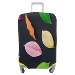 Autumn-b 001 Luggage Cover (medium) by nate14shop