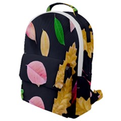 Autumn-b 002 Flap Pocket Backpack (small)