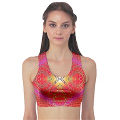 Lava Liquid Sports Bra