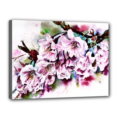 Watercolour-cherry-blossoms Canvas 16  X 12  (stretched) by Jancukart