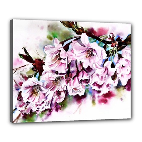 Watercolour-cherry-blossoms Canvas 20  X 16  (stretched)