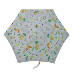 Hd-wallpaper-b 014 Mini Folding Umbrellas