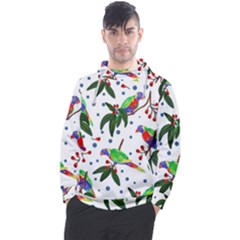 Seamless-pattern-with-parrot Men s Pullover Hoodie