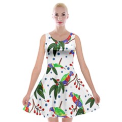 Seamless-pattern-with-parrot Velvet Skater Dress by nate14shop