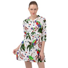 Seamless-pattern-with-parrot Mini Skater Shirt Dress by nate14shop