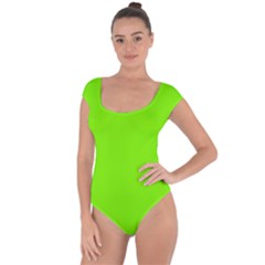 Grass-green-color-solid-background Short Sleeve Leotard 