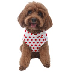 Abstract-polkadot 02 Dog Sweater