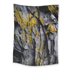 Rock Wall Crevices Geology Pattern Shapes Texture Medium Tapestry by artworkshop