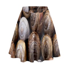 Snail Shells Pattern Arianta Arbustorum High Waist Skirt by artworkshop