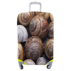 Snail Shells Pattern Arianta Arbustorum Luggage Cover (medium) by artworkshop