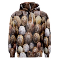 Snail Shells Pattern Arianta Arbustorum Men s Overhead Hoodie by artworkshop