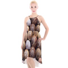 Snail Shells Pattern Arianta Arbustorum High-low Halter Chiffon Dress  by artworkshop